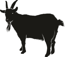 Vector Black Goat Free Clipart HD - Free PNG
