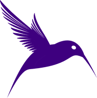 Watercolor Vector Hummingbird PNG Download Free
