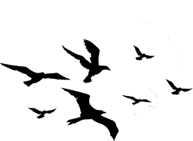Of Flock Vector Birds Free Download PNG HQ