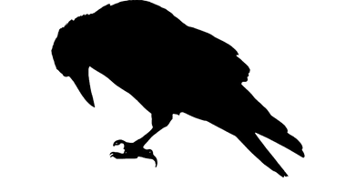 Raven Free Download PNG HD