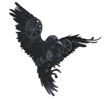 Raven HD Image Free - Free PNG