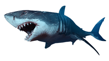 Blue Shark Nemo Download HD - Free PNG
