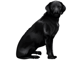 Vector Black Labrador Dog PNG Free Photo