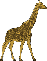 Small Giraffe Vector Free Clipart HD - Free PNG