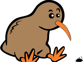 Kiwi Vector Bird Free Download PNG HD