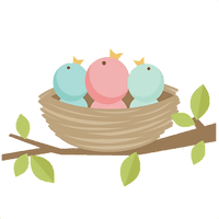 Nest Bird Free Download PNG HD