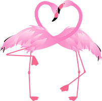 Vector Flamingo Love Bird Free Download Image - Free PNG