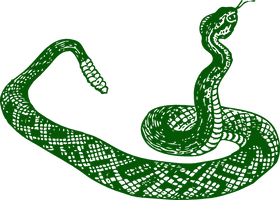 Green Anaconda PNG Free Photo