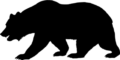 Wild Vector Black Bear PNG Image High Quality