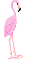 Pink Flamingo Bird Vector PNG Download Free
