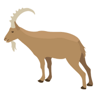 Wild Vector Goat PNG Free Photo