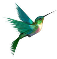 Watercolor Flying Hummingbird HD Image Free - Free PNG