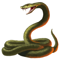 Picture Green Anaconda Free Transparent Image HQ - Free PNG