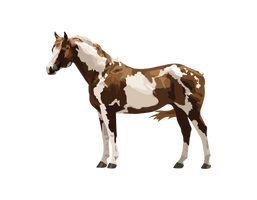 Farm Horse Arabian Free HD Image - Free PNG