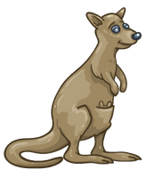Wallaby Kangaroo Free HD Image - Free PNG