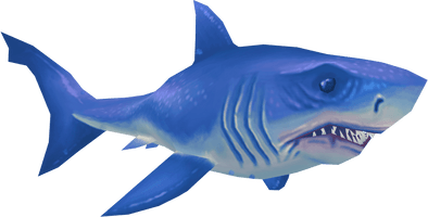 Blue Real Shark Photos Free Download PNG HQ