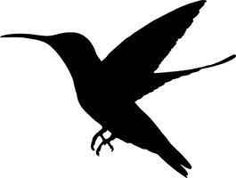 Silhouette Black Hummingbird PNG Download Free