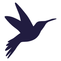 Flying Vector Hummingbird Free HQ Image - Free PNG