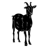 Wild Vector Goat Free HQ Image - Free PNG