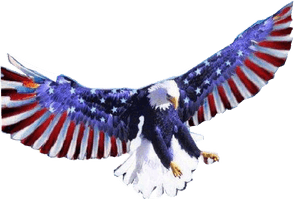 Eagle American Free Download PNG HD