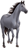 Farm Horse Arabian Free Clipart HD - Free PNG