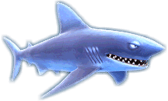 Real Shark Free Download Image - Free PNG