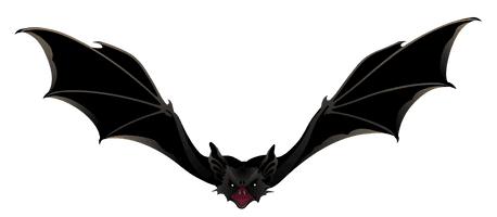 Bat Vector Download HD - Free PNG