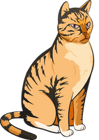 Wild Vector Cat PNG Image High Quality