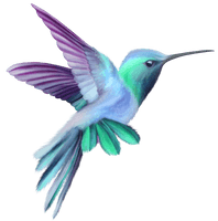 Watercolor Flying Hummingbird Free HQ Image - Free PNG