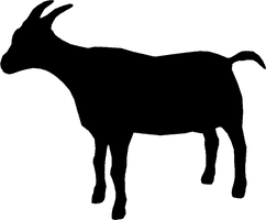 Vector Black Goat Free Download PNG HQ