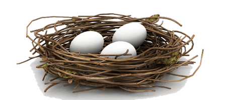 Eggs Nest White Bird Free Transparent Image HD - Free PNG