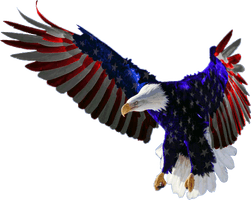 Eagle American Free Transparent Image HD - Free PNG