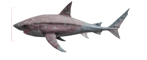 Megalodon Shark Photos PNG File HD