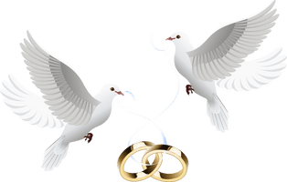 Love Pigeon Wedding Free Clipart HQ - Free PNG