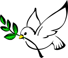 Peace Pigeon HD Image Free - Free PNG
