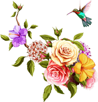 Watercolor Photos Flower Hummingbird Free Clipart HQ - Free PNG