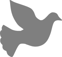 Vector Pigeon Peace Free Clipart HQ - Free PNG