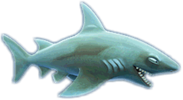 Real Shark Free Clipart HQ - Free PNG
