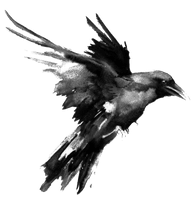 Bird Raven Download HQ - Free PNG