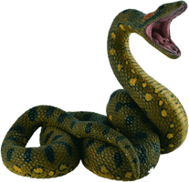 Green Anaconda Download Free Image - Free PNG