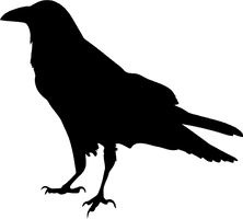 Black Raven Download HQ - Free PNG