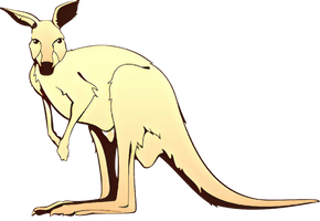 Images Wallaby Kangaroo Free Transparent Image HD - Free PNG