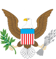 Eagle American Pic Free Download PNG HQ