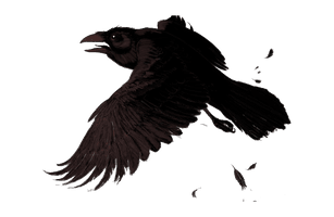 Pic Raven Download HD - Free PNG