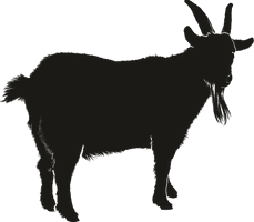 Vector Black Goat PNG Image High Quality