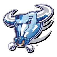 Vector Bull Face Free HQ Image - Free PNG
