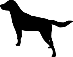 Black Silhouette Labrador Dog HD Image Free - Free PNG