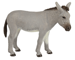 Donkey Animal PNG Download Free