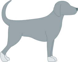 Photos Vector Dog Face HD Image Free - Free PNG