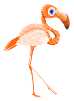 Vector Walking Flamingo Bird Free Download PNG HD